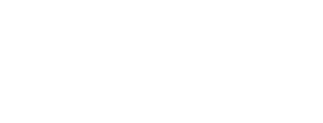 london-northwestern-white-logo