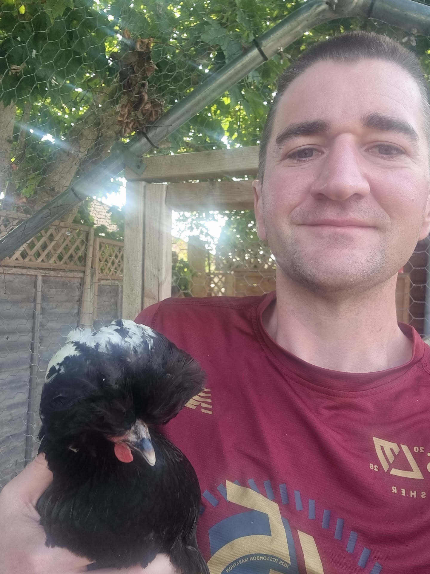 chicken - Jamie Tardi
